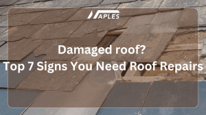Damaged roof? Top 7 Signs You Need Roof Repairs